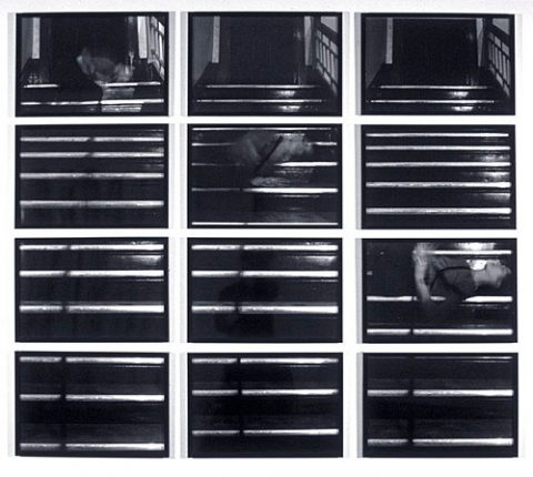 Vertical Pull 1, 1977, Suzy Lake, 12 épreuves à la gélatine argentique.