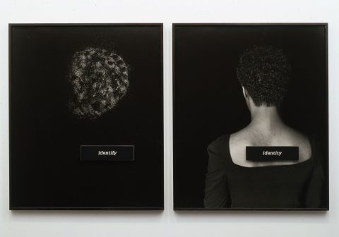 ID, 1990, Lorna Simpson, 2 épreuves à la gélatine argentique, encadrements et plaques de plastique gravées, 3/4.