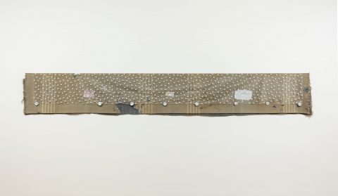 Violator, 2015, Liz Magor, Laine, plastique, gypse polymérisé, cellophane et autocollants.