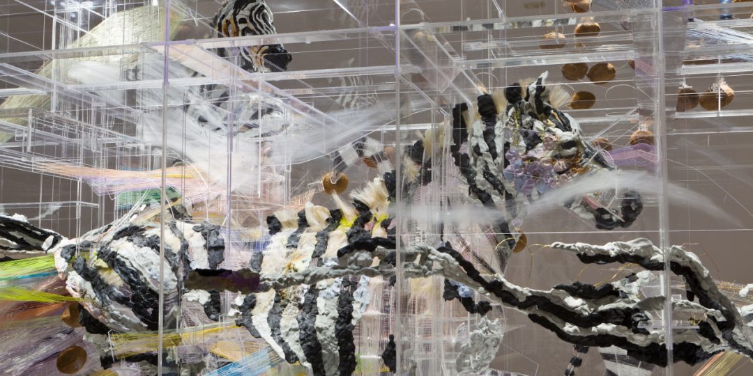 Les animaux de Zoo quittent le MAC dans 9 jours