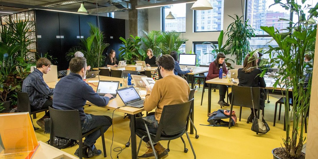 Artexte and the MAC team up for : Art + Feminism Wikipedia Edit-a-thon