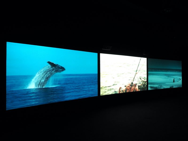 John Akomfrah, <i>Vertigo Sea</i>, 2015, view of the installation