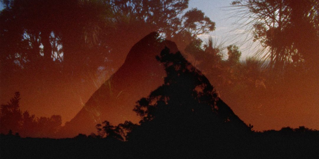 Max and Iris Stern International Symposium: April 12 and 13 <em>More than Human, More than Nature: Beyond the Living Being</em>