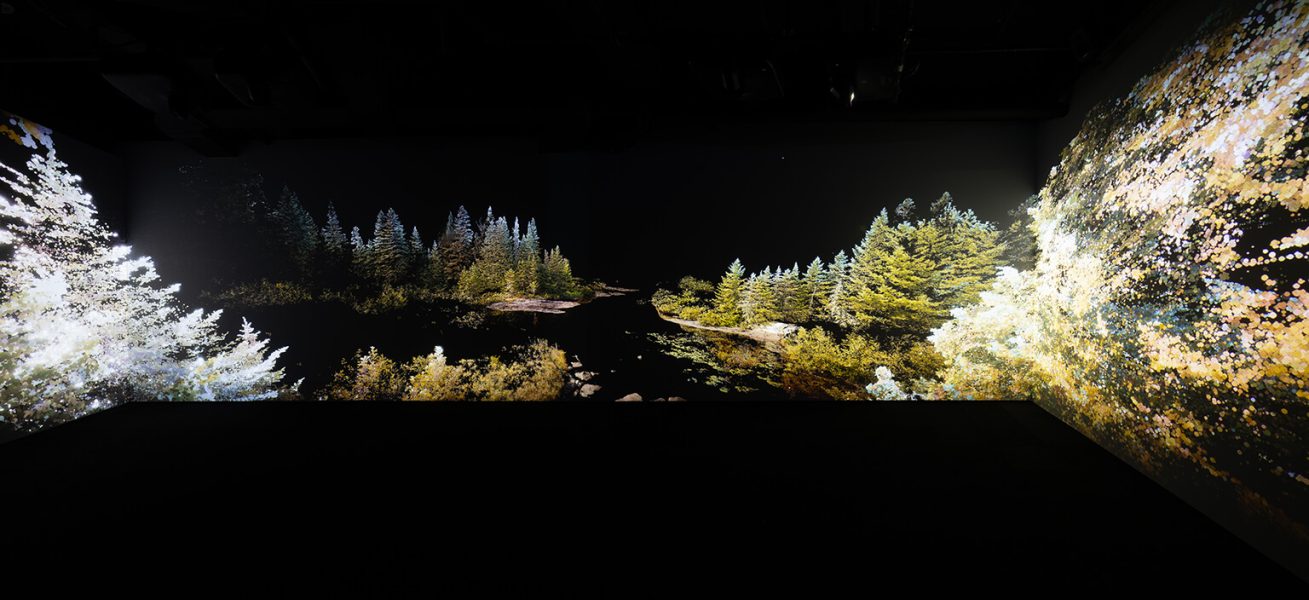 Nelly-Eve Rajotte, <i>Les arbres communiquent entre eux à 220 Hertz</i>, 2024