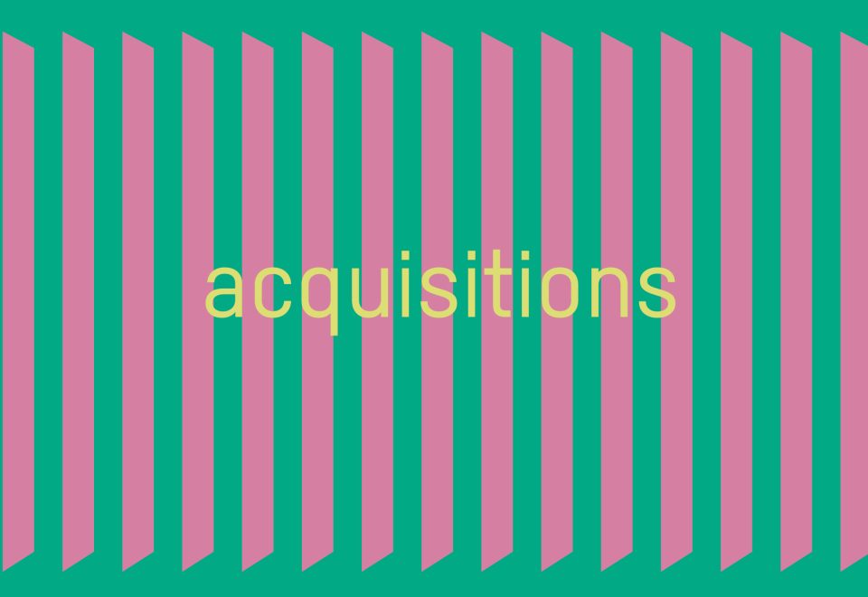 The Art of Revealing: Acquisitions 