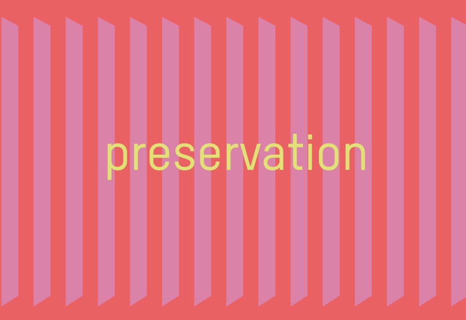 The Art of Revealing: Preservation 